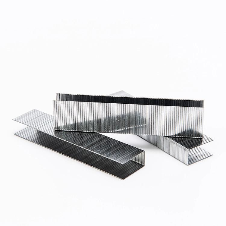 Galvanized Wire Material 10j Series Staples From China Used for Sofa Frames and Wooden Board