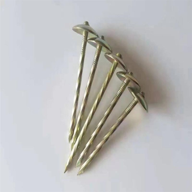 Galvanized Roofing Nails with Umbrella Head