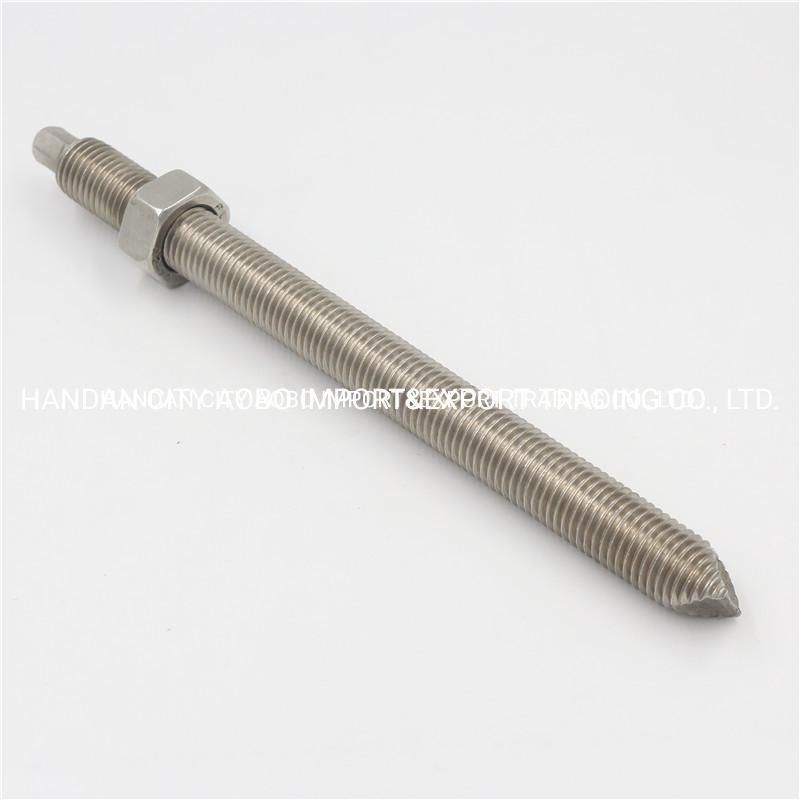 Carbon Steel Anchor Galvanized M8-M30 Chemical Frame Anchor Bolt