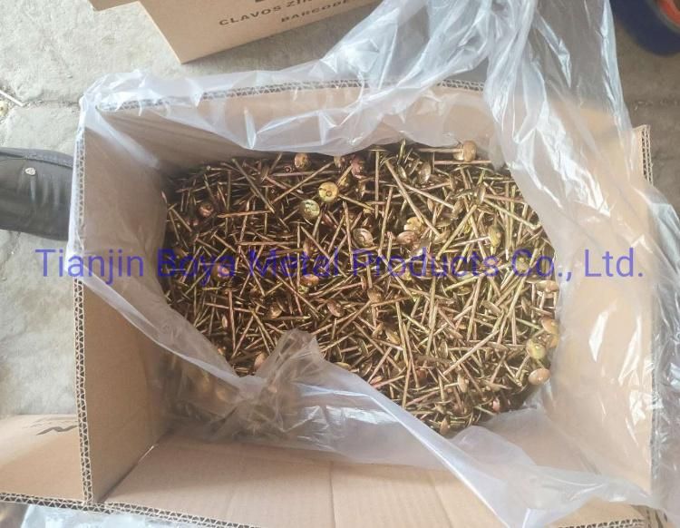 High Quality Yellow Zinc Roofing Nails Umbrella Head for South Africa Market