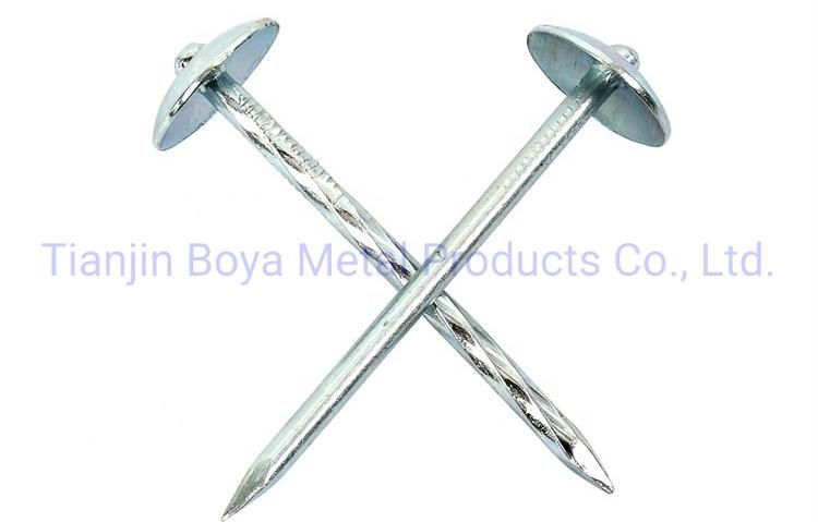 Bwg9*2.5" Umbrella Head Twist/Smooth Shank Roofing Iron Nail