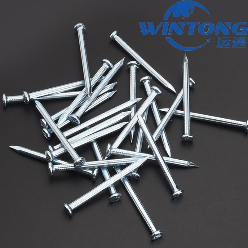 Galvanized Concrete Roofing Nails Wire Nail with High Quality and Competition Price Stainless Steel Nails in China