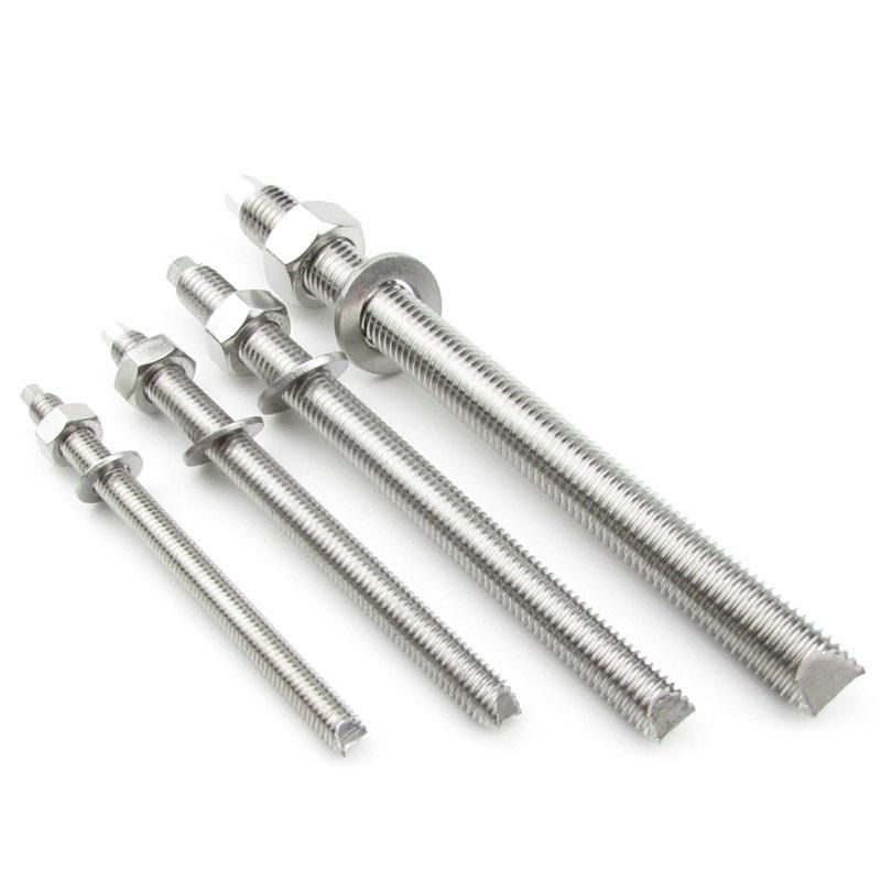 Stainless Steel Chemical Stud Anchor Bolt with Hex Nut and Washer