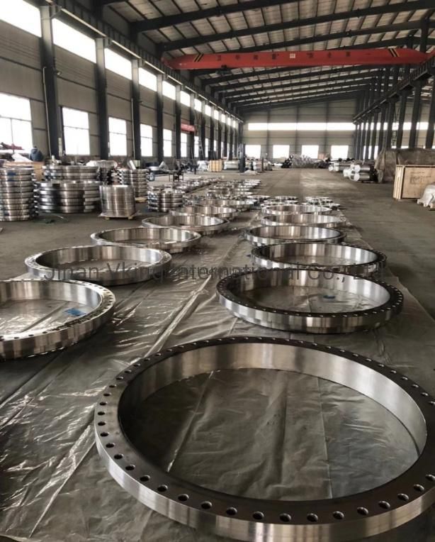 Pipe Fittings Stainless Steel RF Blind Welding Neck Flange
