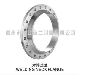 Stainless Steel Forged Flanges