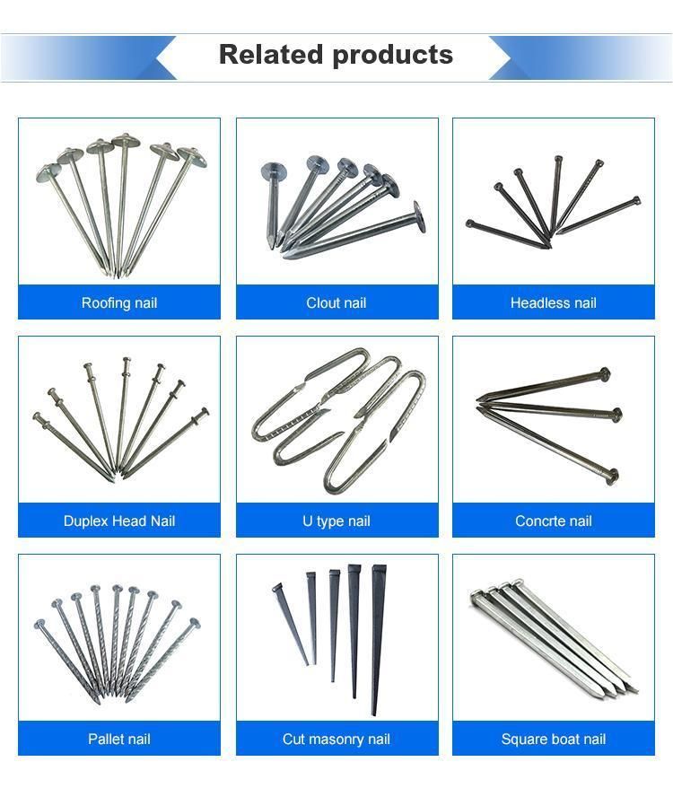 Best Selling Hot Dipped Duplex Head Nail with Cheaper Price
