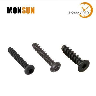 Harden Steel Zinc Coating Star Drive Self Tapping Screws for Plastic