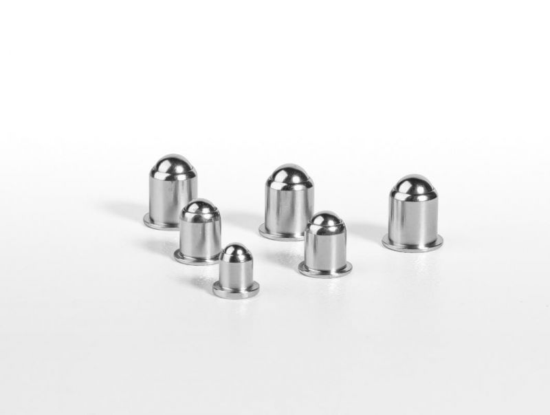 Heavy End Pressure Stainless Steel Spring Plunger Ball Screw Plunger