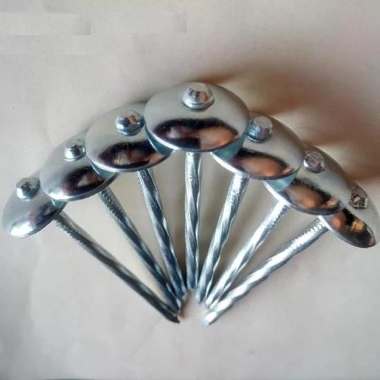 High Quality Galvanized Umbrella Head Roofing Nails China Supply for Building Decoration Renovation