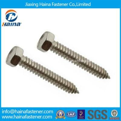 Stock DIN7976 Stainless Steel Hexagon Head Tapping Screw
