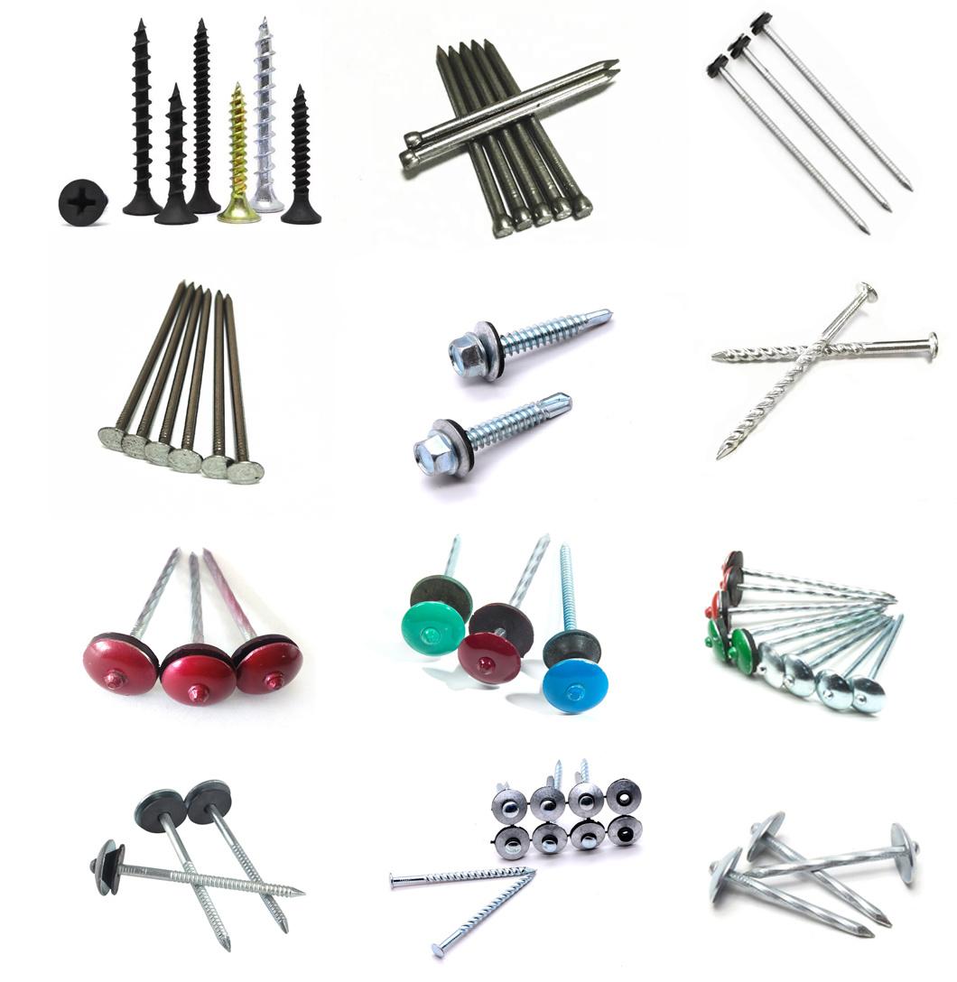 China Suppliers Umbrella Head 3 1/4 Galvanized Roofing Screw Nail