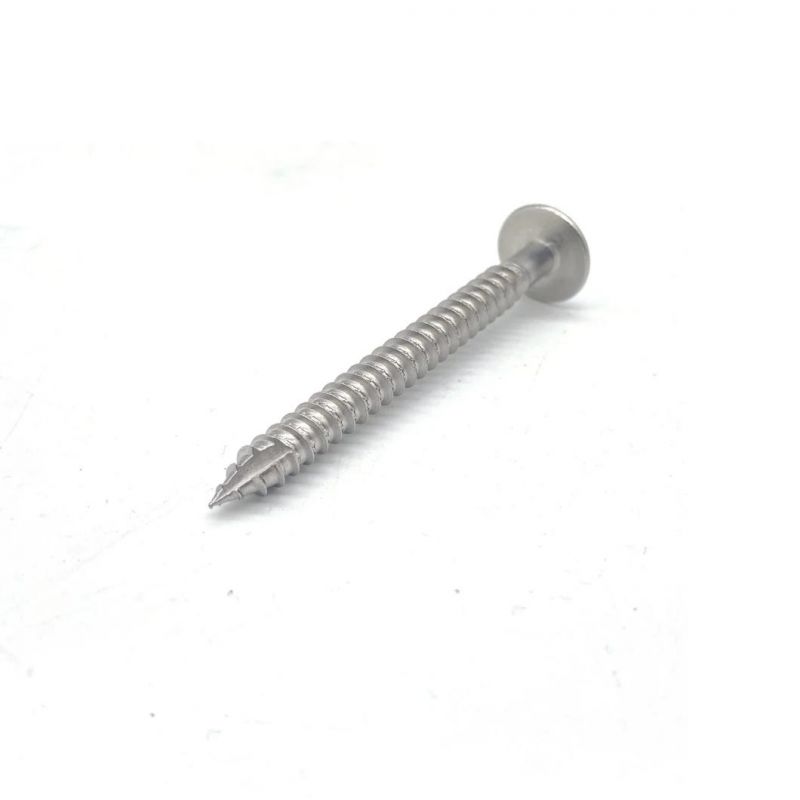 Stainless Steel 304 M3-M6 Phillips Big Pan Head Self Tapping Screws for Plastic