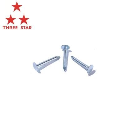 Hot Dipped Galvanized Clout Head Nail Felt Clout Nails