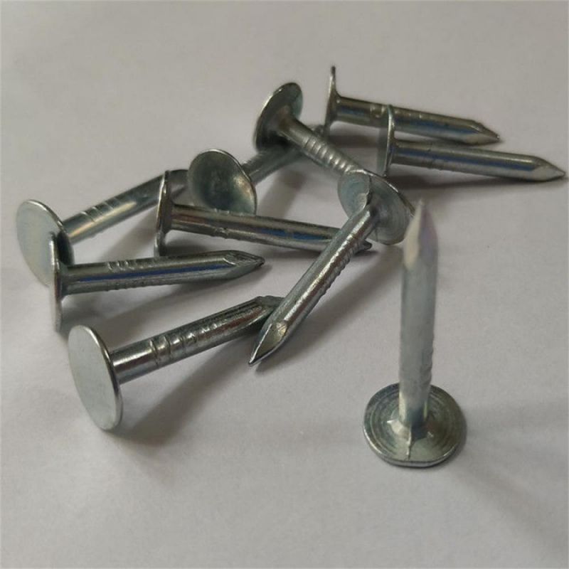 Galvanized Linoleum Nails for Construction