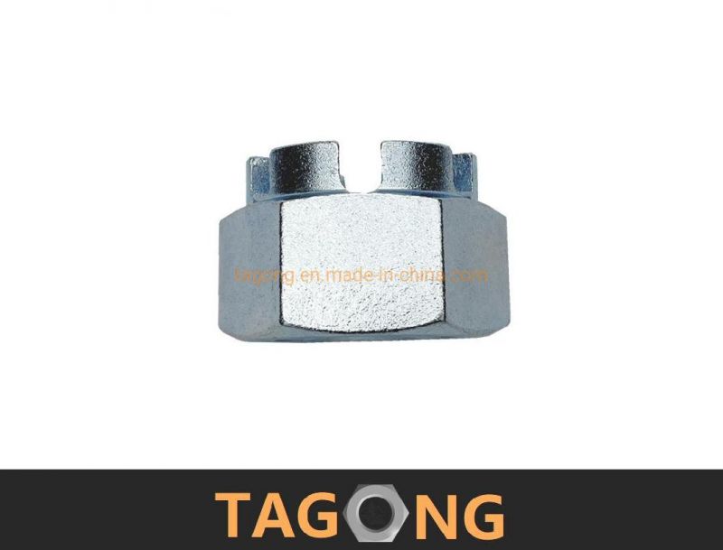 Hex Nuts Square Nut Nylon Nut Castle Nuts Cap Nuts DIN937 DIN935 Hex Nut Slotted Nuts