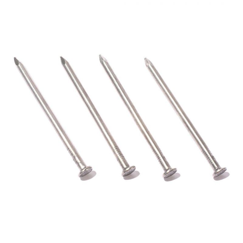 Common Iron Nail Common Nail for Construction Common Wire Iron Nail