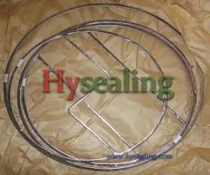 Double Jacketed Gasket