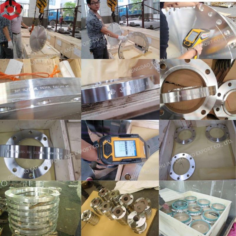 ANSI B16.5/En1092-1/DIN Carbon Steel Stainless Steel RF/FF Forged Steel Flange