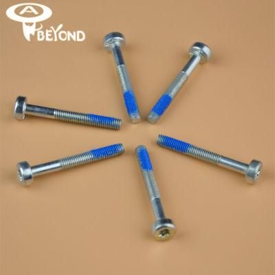Nylon Patch Screw Bolts Machine Screw