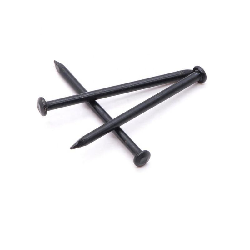 Professional Angular Spiral Steel Concrete Nails Wire Nail Suppliers