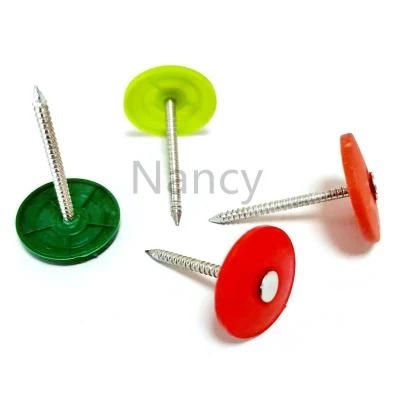 Galvanized Ring Shank Plastic Cap Roofing Nails for Canada/America Market