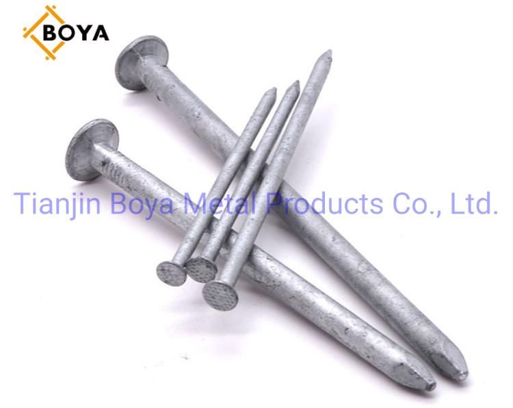 Best Quality Carbon Steel Common Iron Nail/Galvanized Nail/Building Nail/Hardware