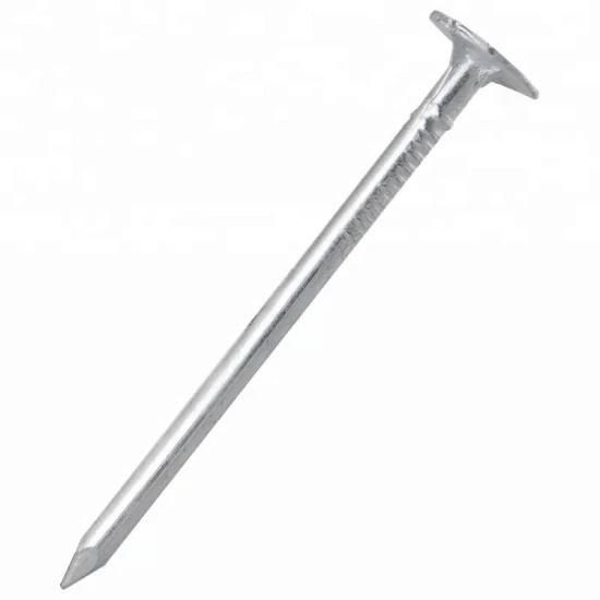 Hot Dipped Galvanized Clout Head Nail