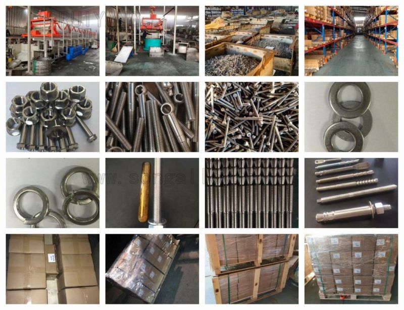 DIN975 Thread Bolts Thread Rod in Titanium Screw Stud