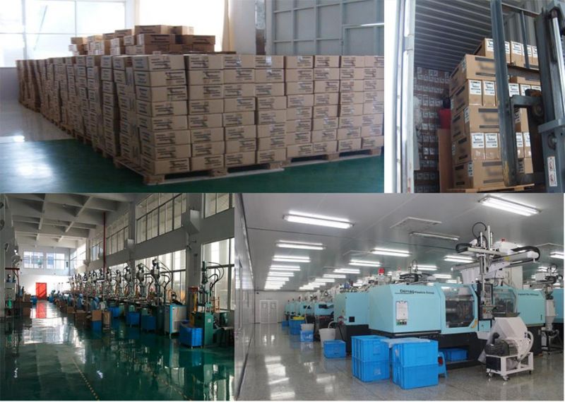 Eye Nut Ss Stainless Steel Eye Coupling Nut