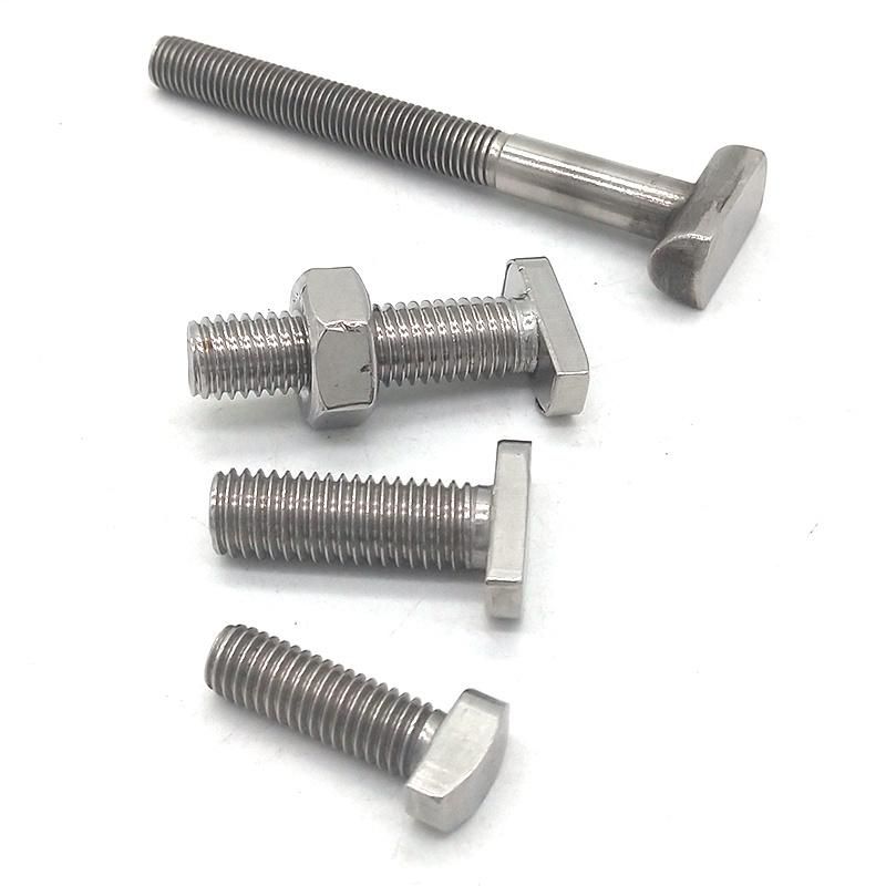 Stainless Steel/Carbon Steel T Type Head Bolts