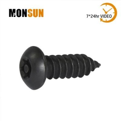 Torx Drive Flat/Button Head Tamper Resistant Screw