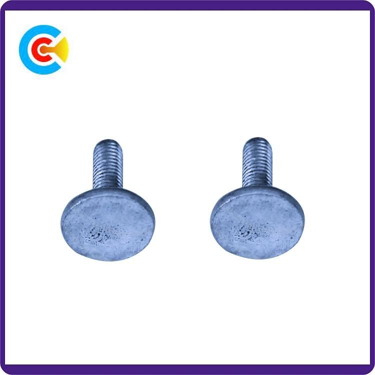 Carbon Steel 4.8/8.8/10.9 Galvanized/M6 Customized Plastic Fastener Round/Flat Head Screws