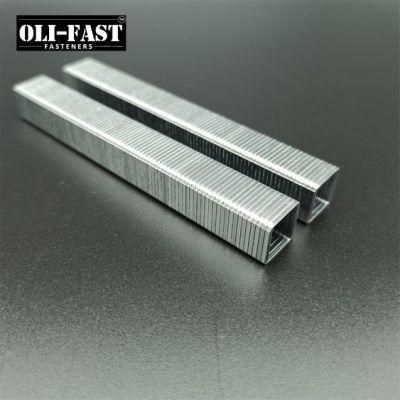 20ga 50/12mm Series Industrial Staples China Factory Supply