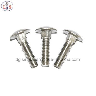 Ss 304 Carriage or Square Neck Bolt