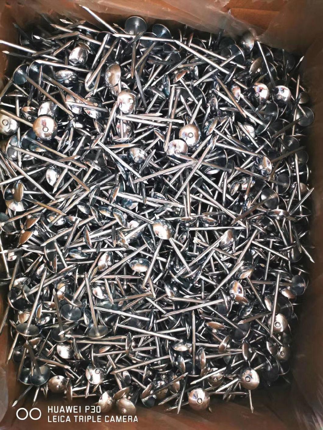 Smooth Shank 9bwg X 2.5inch Roofing Nails/Umbrella Head Nails Selling to All The World