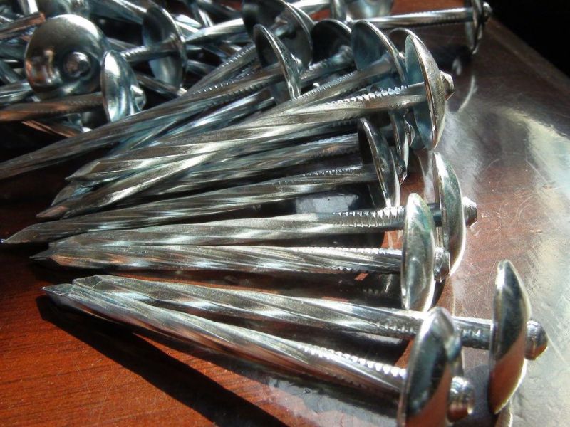 Factory Supply Galvanized Roofing Sheet Nails Hot Sale Twisted Shank Umbrella Head Roofing Nails