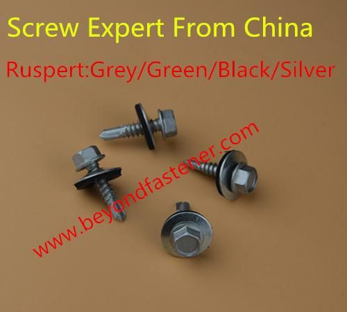 Screw Drywall Screw Self Tapping Screw Bimetal Screw