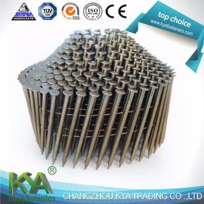 Electro Galvanized Screw Shank Conical Wire Coil Nail
