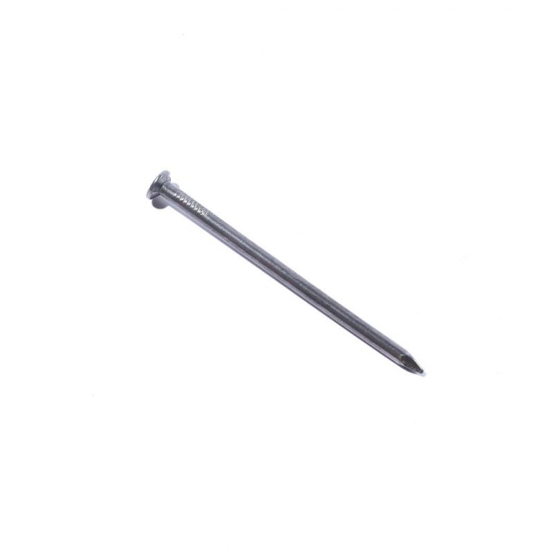 Angola Ethiopia Market/Common Wire Nails Cheap 1inch 2inch 3inch Silver Tia Head Steel Style Surface Finish Flat Color Package Material Origin Type ISO