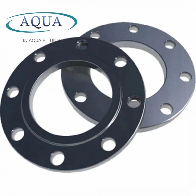 ANSI/DIN/En1092-1 Forged Carbon Plate RF/FF Pipe Flanges