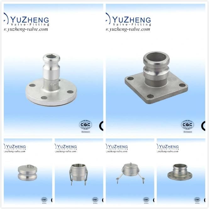 Stainless Steel a Type Camlock with Flange Campling Coupling