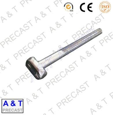 Stainless Steel T Bolts 304, 316 of High Quality
