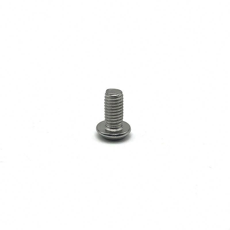 Stainless Steel 304/316 Torx Pan Head Security Screw with Pin
