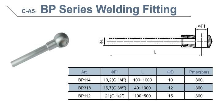 Hydraulic Hose Banjo Fitting