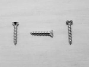 Self Tapping Screws (SS304/316/410)