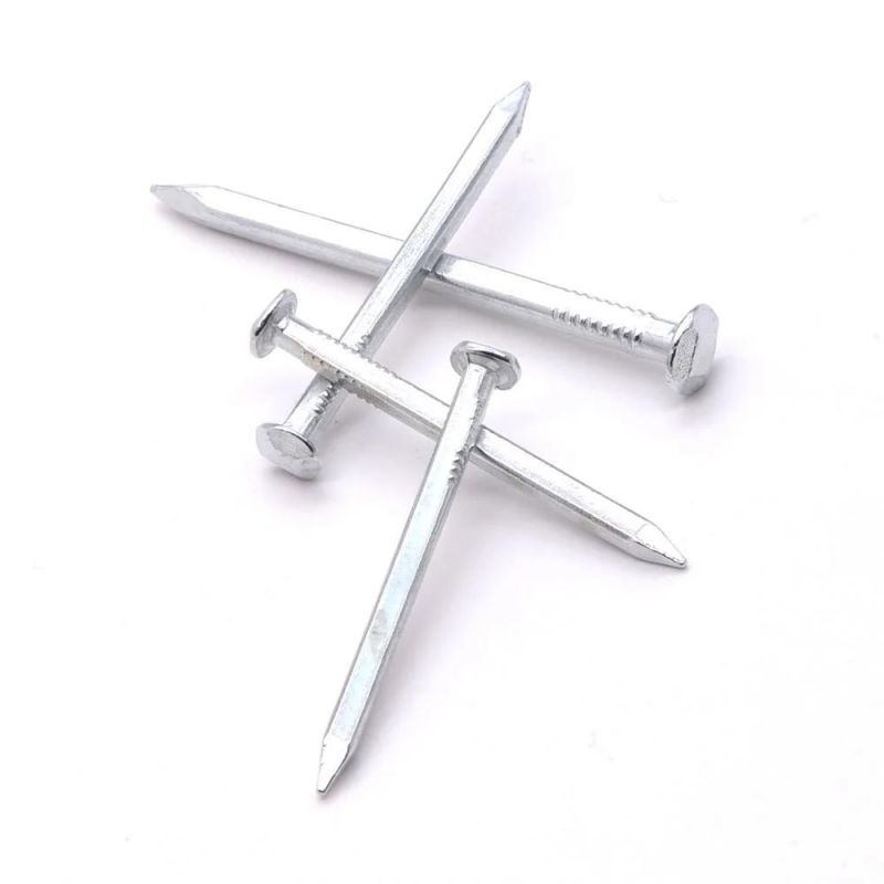 Myanmar Thailand Laos Market/High Quality Zinc Galvanized Concrete Boat Nails Manufacturer