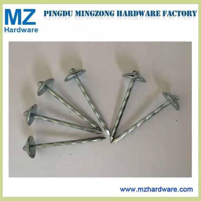 China Bwg9*2.5" Twisted Shank Roofing Nail