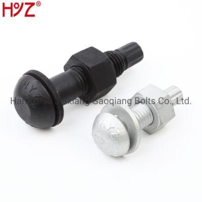 High Strength Tension Control S10t/A325tc Bolt with Nut and Washer Jss II09