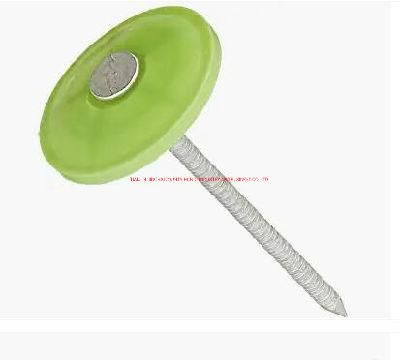 1 1/4&quot; 2000bucket E. G Plastic Cap Nails