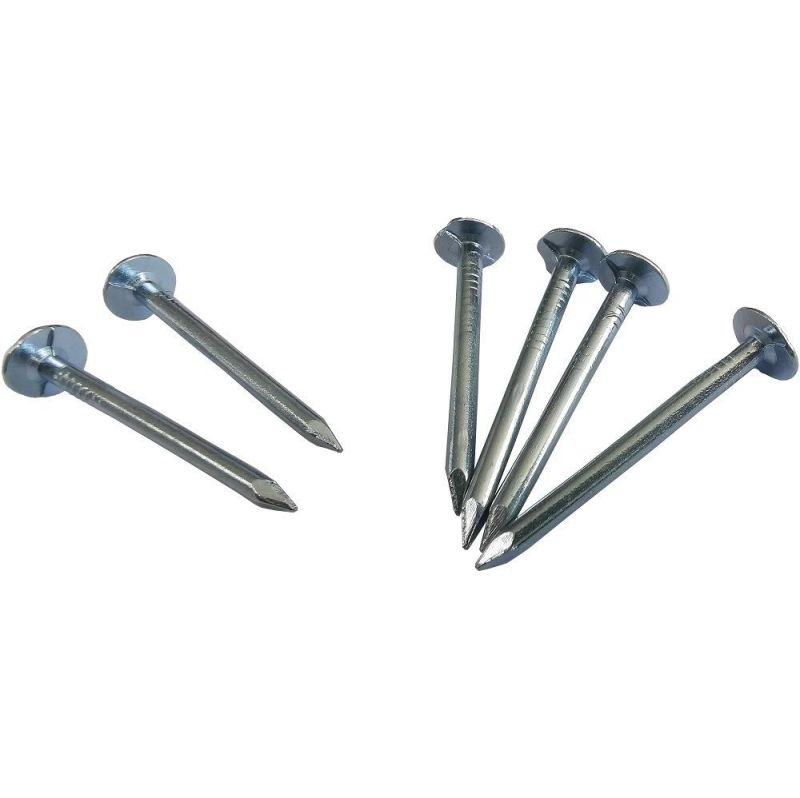 High Quality Hot Dipped Galvanized Clout Nail